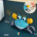 Caranguejo Fujão Catavento Baby